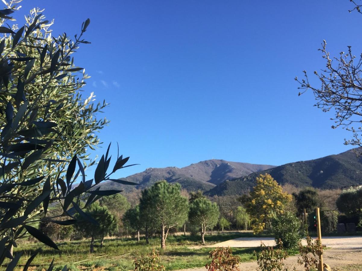 Domaine Pedra Llampada Gite Cerise Villelongue-dels-Monts Екстериор снимка